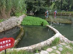 -成都市活水公园