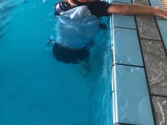 -沁好亲子游泳俱乐部(吴中中心)