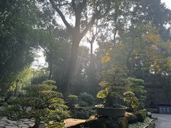 -成都武侯祠博物馆