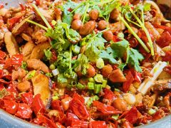 -食神又名厕所兔