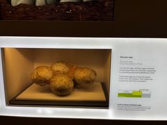 -墨尔本博物馆(Melbourne Museum)
