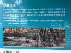 -米果果小镇