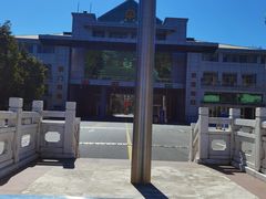 -打洛口岸
