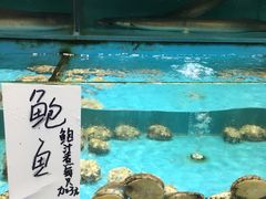 -新享乐海鲜(翠华路店)