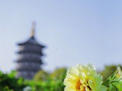 -隋唐洛阳城明堂天堂景区