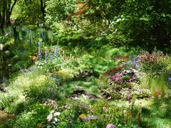 -上海共青森林公园