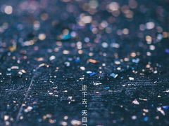 -武氏皖北网红三胖地锅鸡(桐城路店)