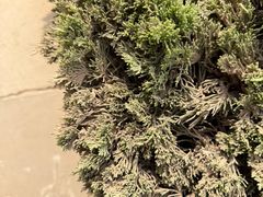 -黄河小浪底水利枢纽风景区