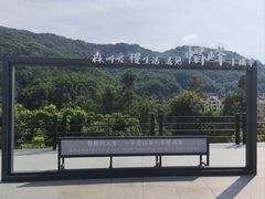 -广州市帽峰山景区