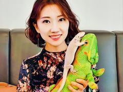 -FAIRYLAND龙族星球主题餐厅(凯丹广场店)