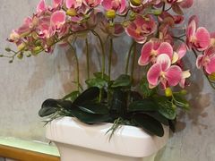 -杏花村水席楼·洛阳水席(老城十字街店)