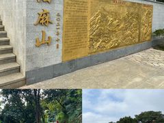 -黄埔油麻山森林公园