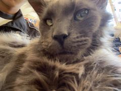 -平行世界·猫咖(首经贸店)