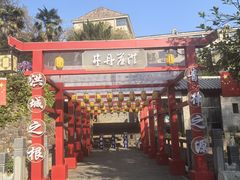 -洪崖丹井