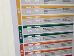 -宠颐生宠物医院外科·内科·皮肤科·影像科(石龙店)