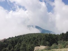 -白草畔自然风景区