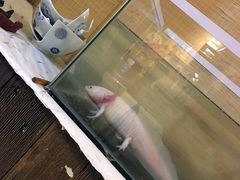 -照相馆的食堂(曲阜师范大学店)