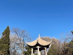 -老龙头景区