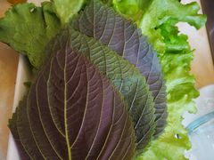 -元坊珲春无烟串城(北海路店)