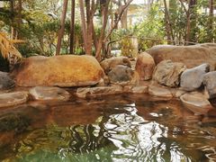 -张家港金凤凰度假村温泉