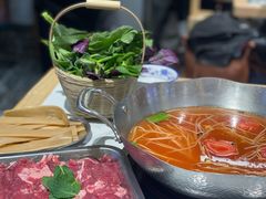 -王奋斗贵州酸汤牛肉火锅
