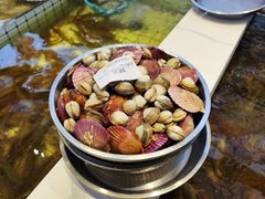 -大锅强·蒸海鲜青岛菜(金沙滩店)