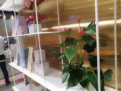 -奈雪的茶(新天地广场PRO店)