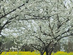-三岔湖景区