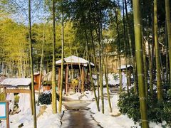 -江南天池高山汤泉城