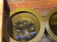 -鸽子窝(宋庄店)