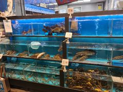 水产区-盒马鲜生(宝地店)