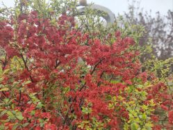 -姜美堂·蒸姜除湿の纤体美颜馆