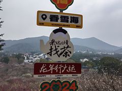 -香雪海
