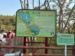 -广州白江湖森林公园