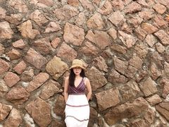 -枸杞岛