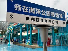 -海合安成都极地海洋公园