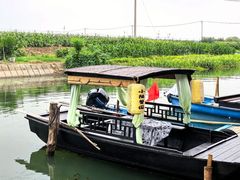 -小陆莲花蟹园农家乐(莲花岛店)
