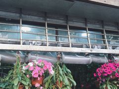 -万商花鸟市场