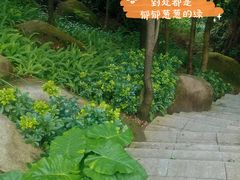 -火炉山森林公园