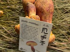 -滇野云南野生菌餐厅(陕西南路店)