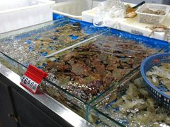 -三旗百汇商品城