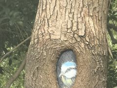 -上海鲜花港
