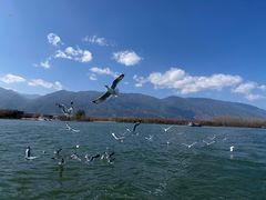 -大理洱海