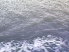 -澳门环岛游湾仔码头