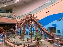 -陕西自然博物馆