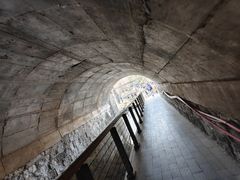 -白水寺森林公园
