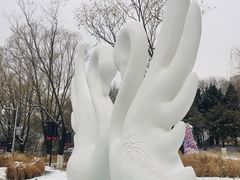 -朝阳公园