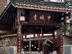 -青城甲(青城山店)