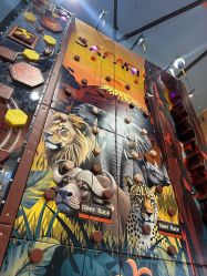 -卡通尼·Safari非洲探索乐园·生日会(金桥国际商业广场店)