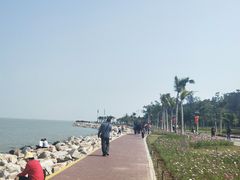 -野狸岛
